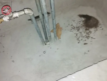 盂县卫生间测漏水价格明细