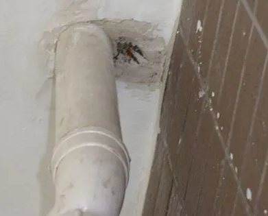 盂县漏水检测哪家好